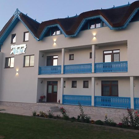 Pensiunea Alicia Журиловка Экстерьер фото