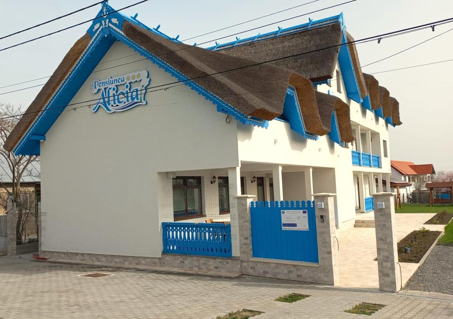 Pensiunea Alicia Журиловка Экстерьер фото